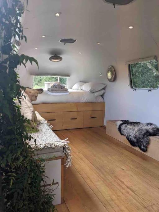 Airstream, Vintage American Caravan & Hottub Ashburton Ngoại thất bức ảnh